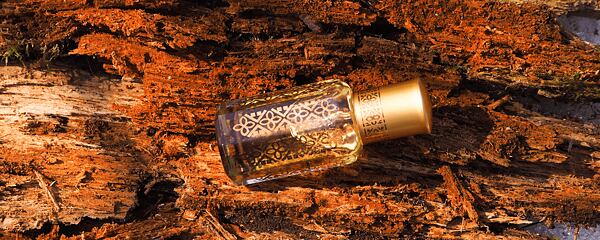 Unglaublich teuer, aber süchtig machend. Oud verändert die Welt der Parfums - wissen Sie warum?