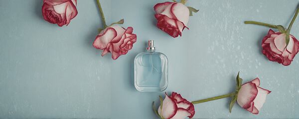 Parfum mit starker Haltbarkeit – welche Düfte bleiben wirklich den ganzen Tag?