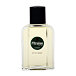 Pitralon Classic After Shave Lotion 100 ml (man)