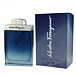 Salvatore Ferragamo Subtil pour Homme Eau De Toilette 100 ml (man)