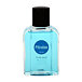 Pitralon Polar After Shave Lotion 100 ml (man)