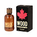 Dsquared2 Wood for Him Eau De Toilette 100 ml (man)