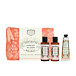 Panier des Sens Rose Géranium Handcreme 30 ml + SG 70 ml + BL 70 ml + Kosmetiktasche (woman)