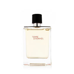 Hermès Terre D'Hermès Eau De Toilette 100 ml (man)
