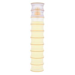 Bill Blass Amazing Eau De Parfum 100 ml (woman)