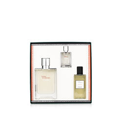 Hermès Terre D'Hermès Eau Givrée EDP nachfüllbar 100 ml + EDP MINI 12,5 ml + SG 80 ml (man)