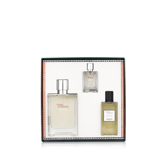 Hermès Terre D'Hermès Eau Givrée EDP nachfüllbar 100 ml + EDP MINI 12,5 ml + SG 80 ml (man)