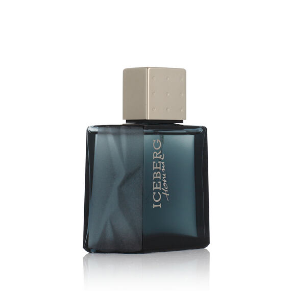 Iceberg Homme Eau De Toilette 50 ml (man)