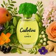Grès Cabotine de Gres Eau De Toilette 50 ml (woman)