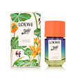 Loewe Paula&#039;s Ibiza Eclectic Eau De Toilette 50 ml (unisex)