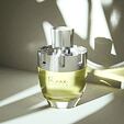 Afnan Rare Carbon Eau De Parfum 100 ml (man)